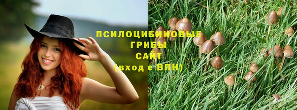 крисы Верея