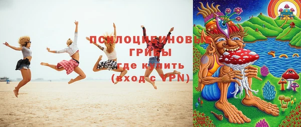 крисы Верея