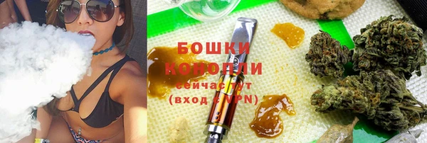 крисы Верея