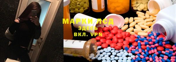 крисы Верея